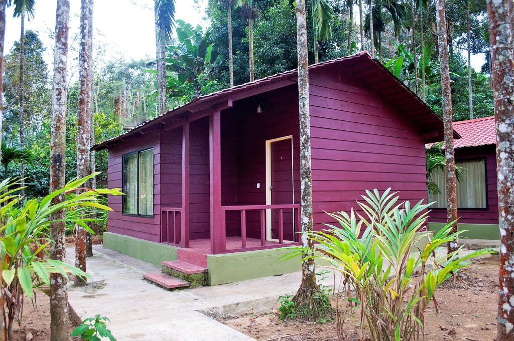 La Flora Prakruth Resort Coorg Мадикери Экстерьер фото